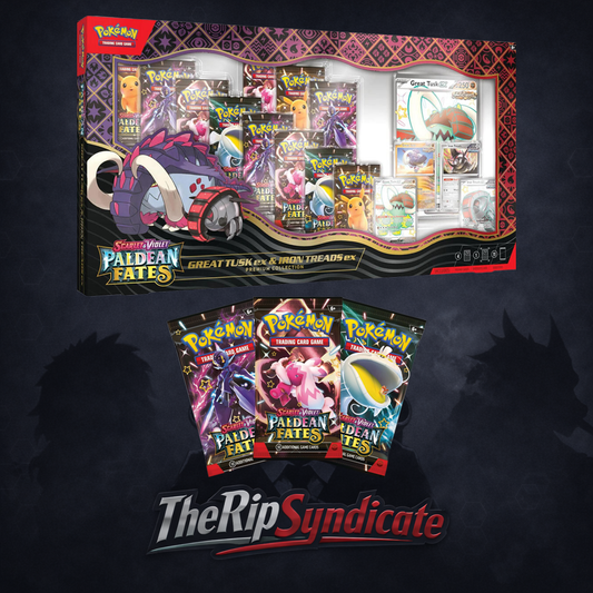 Great Tusk ex & Iron Treads ex Premium Collection